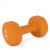 AMILA Neoprene Dumbbell 10Kg