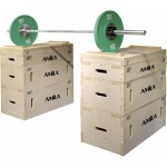 Jerk Blocks (2)