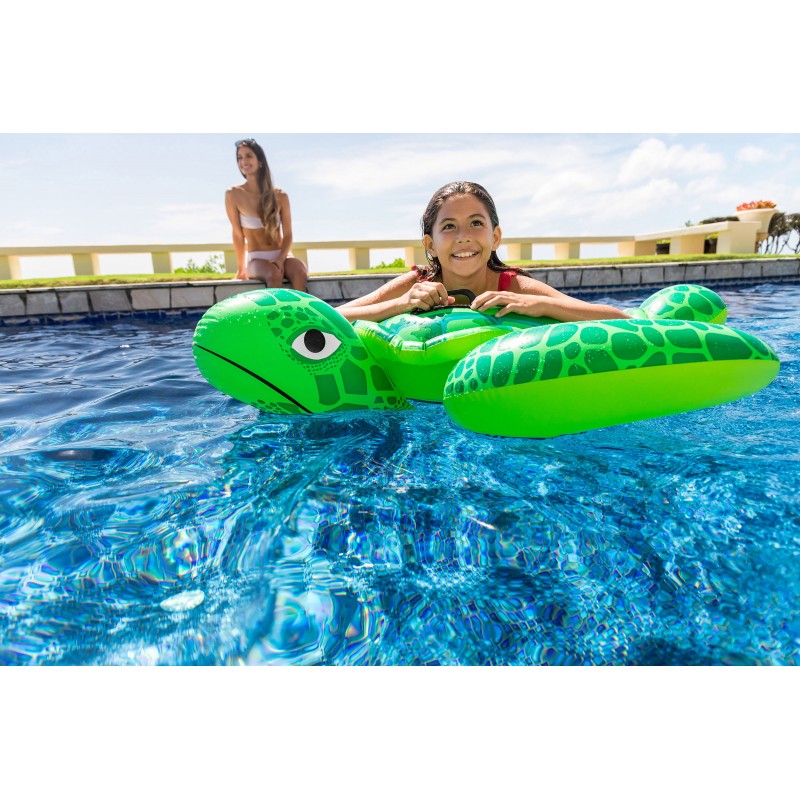 Lil' Sea Turtle Lil' Sea Turtle