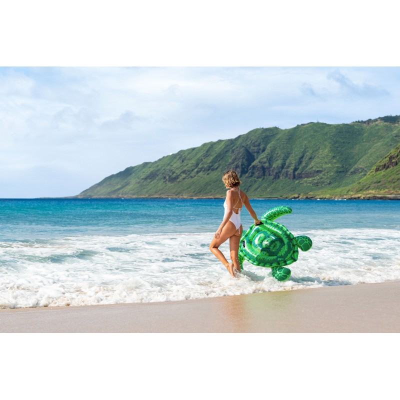 Lil' Sea Turtle Lil' Sea Turtle