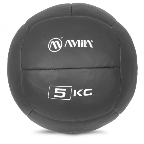 AMILA Wall Ball PU Series 5Kg