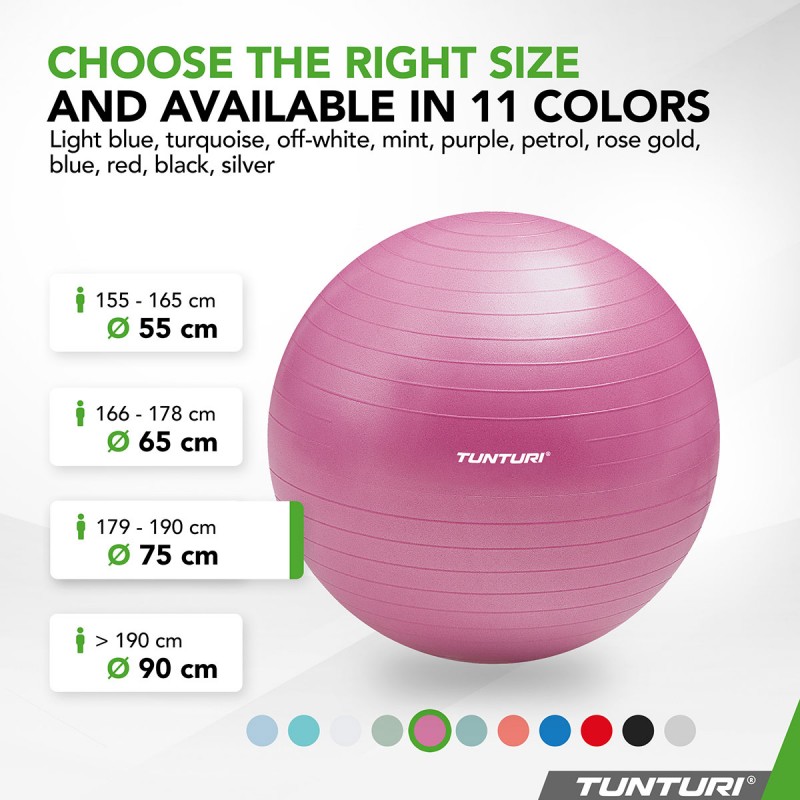 Tunturi Μπάλα Gymball 75cm Μωβ Anti Burst Tunturi Μπάλα Gymball 75cm Μωβ Anti Burst