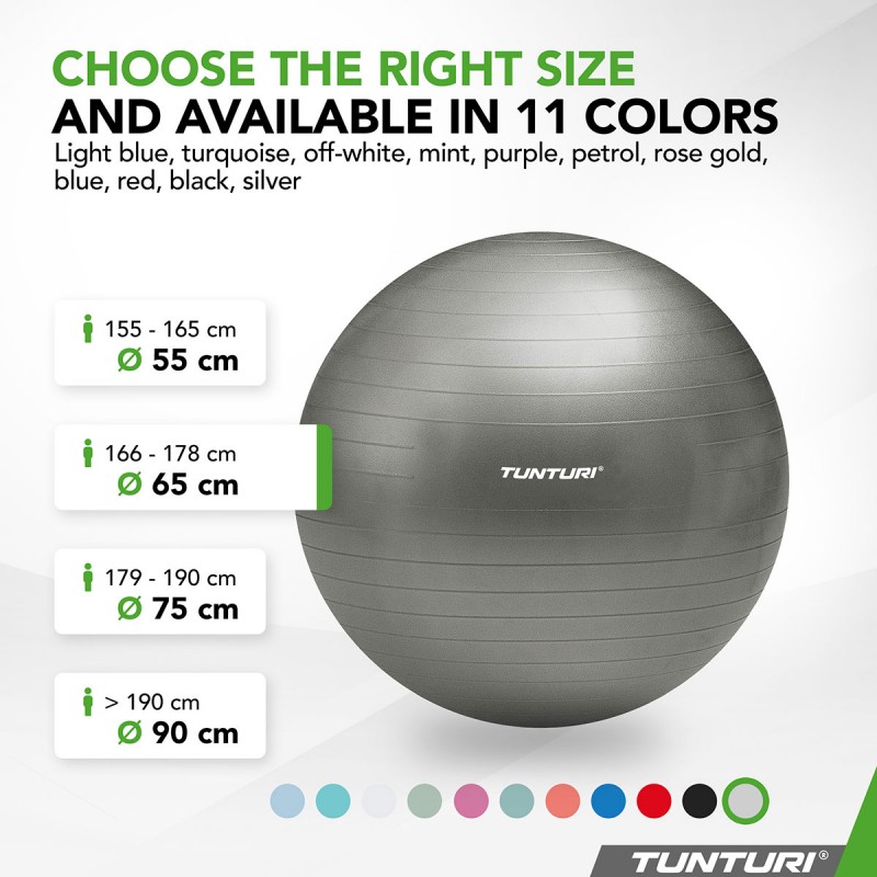 Tunturi Μπάλα Gymball 65cm Ασημί Anti Burst Tunturi Μπάλα Gymball 65cm Ασημί Anti Burst