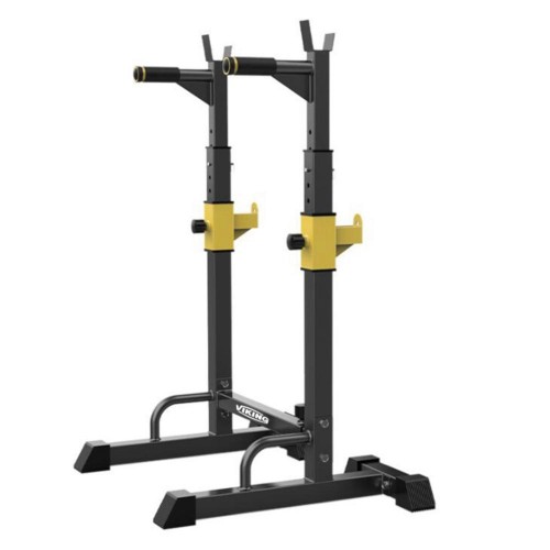 Viking SR-22  Stand and Dip Station